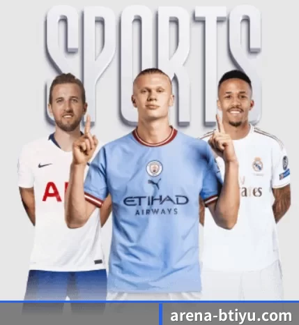 每个板块围绕一个运动项目展开 - bsport